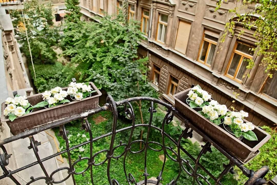 🇭🇺 Début de l'Erasmus